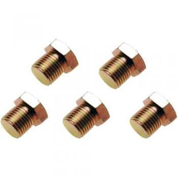 5 bouchons de vidange pour réparation Ø 15 mm