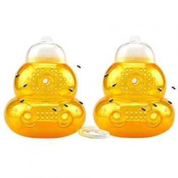 Bee Trap
