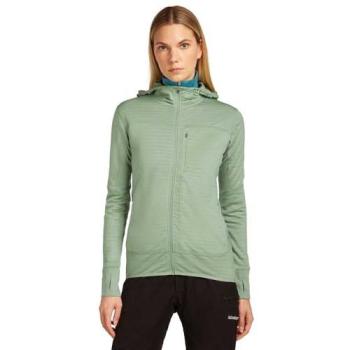 Merino 300 RealFleece Hoodie Donna – Icebreaker Green