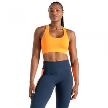 Dare 2b Women's Sports Bra