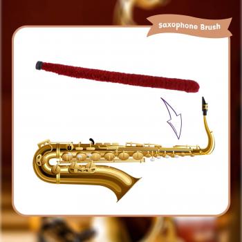 Accessoire de nettoyage pour Saxophone avec protection