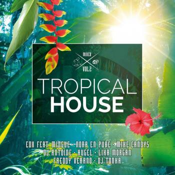 Tropical House Vol.2