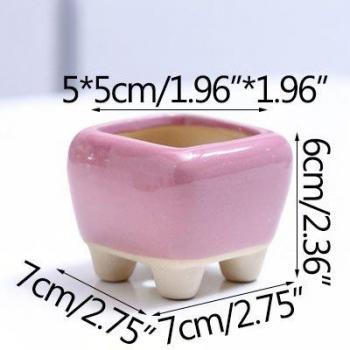 Strongwell Creative Succulent Planter