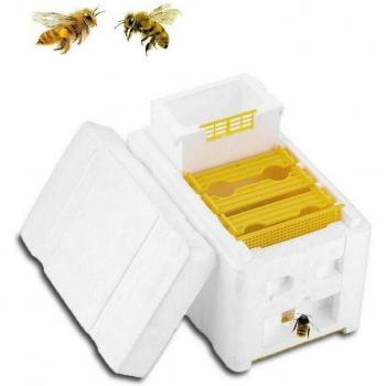 Honey Bee Mating Equipment
