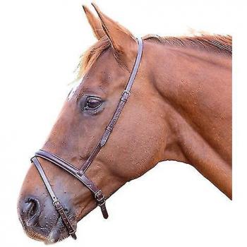 Nariz Negra Caballo Blenheim Flash