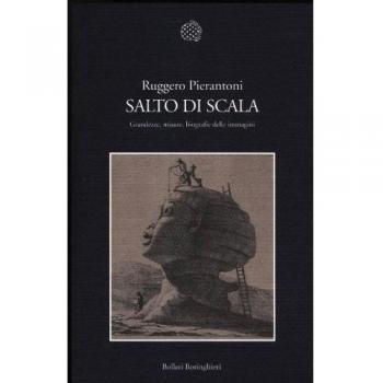 Salto di scala. Grandezze, misure, biografie delle immagini