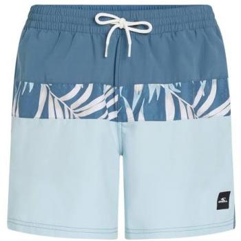 Ropa de surf O'Neill Cali Block Azul 15