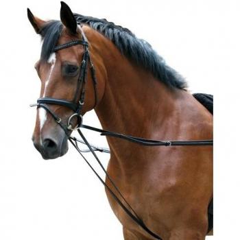 PFIFF Lunging Training Reins