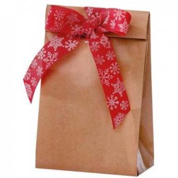 Nastro Regalo Elegante Canada 2,5 cm x 20 m