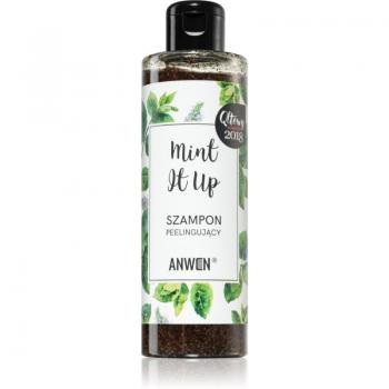 Esfoliante Capilar Anwen Mint It Up 200 ml