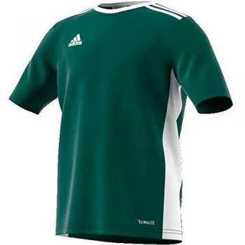 Adidas Kinder Entrada 18 T-Shirt