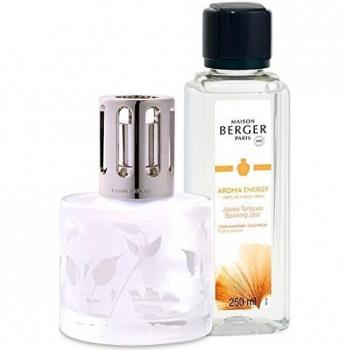 Maison Berger Paris Cofanetto Lampada Catalitica Aroma Energy con profumo 180 ml Zestes Toniques argento trasparente