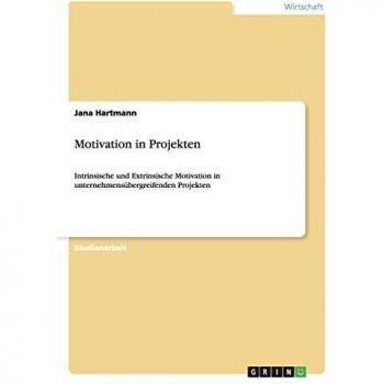 Motivation in Projekten: Intrinsische und Extrinsische Motivation in unternehmensübergreifenden Projekten