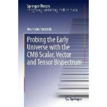 Vitalsource Technologies, Inc. Probing the Early Universe with the CMB Scalar, Vector and Tensor Bispectrum