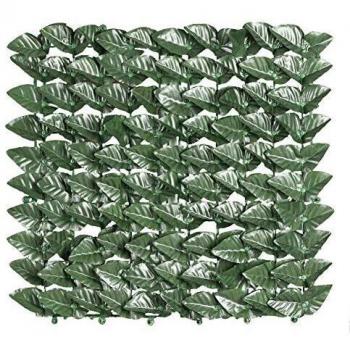 Arelle Semprevieri Laurus Botton Mt 1x20