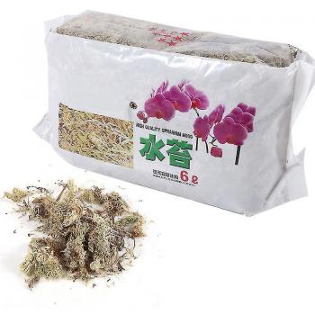 Mousse d’Engrais Sphaigne 12 L – Orchidée Phalaenopsis