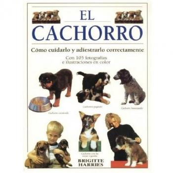 EL CACHORRO