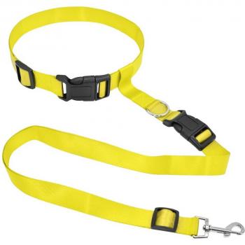 Hands-Free Dog Walking Leash and Collar