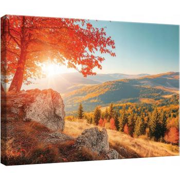 Decoración Pared Natura 60x40