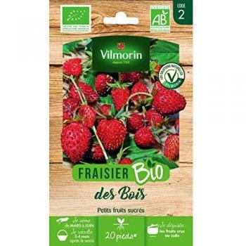 Plantez des Fraises Biologiques avec les Graines Fraisier BIO Vilmorin (2)