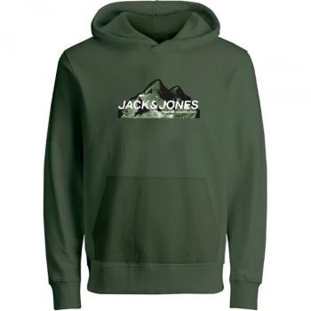 Sudadera Jack and Jones JCOMOUNTAIN Logo Cypress Infantil con capucha, jersey, cuello capucha