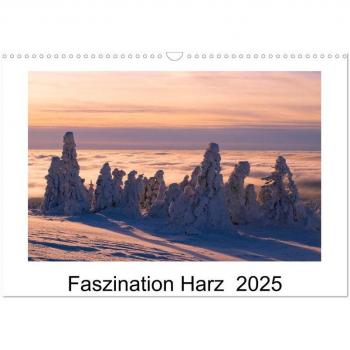 Faszination Harz 2025 (Wandkalender 2025 DIN A3 quer) CALVENDO Monatskalender