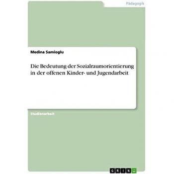 Die Bedeutung der Sozialraumorientierung in der offenen Kinder