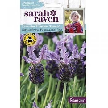 Sarah Raven French Stoecha Lavender Seeds