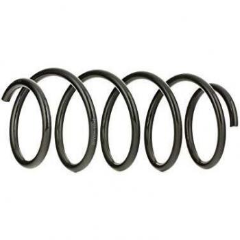 RIDEX Ressort de suspension Essieu avant 188C0021