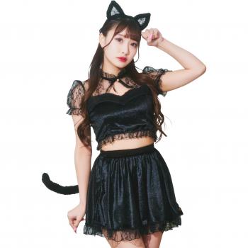 Clearstone Felino Elegante GLOWHOLIC