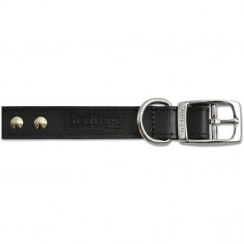 Ancol 28‑36 cm Leather Stud Collar – Black (Size 3)