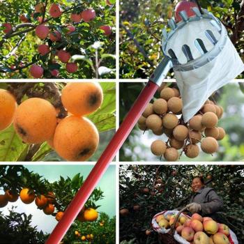 Convenient Garden Fruit Picker