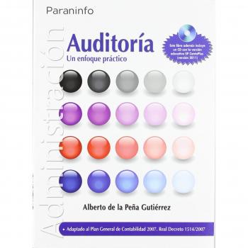 Auditoría. Un enfoque práctico