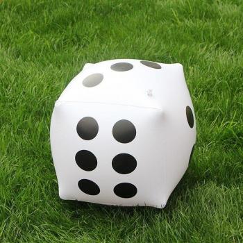 Family Party Inflatable Dice