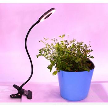 Lampe LED spectre complet pour plantes d'intérieur