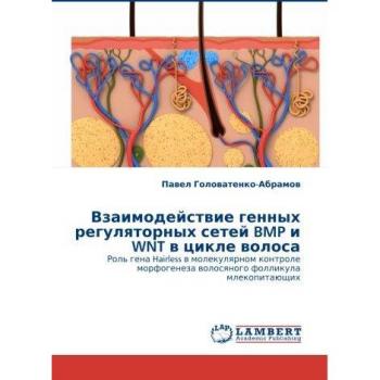 Взаимодействие генных регуляторных сетей BMP и WNT в цикле волоса: Роль гена Hairless в молекулярном контроле морфогенеза волосяного фолликула ...