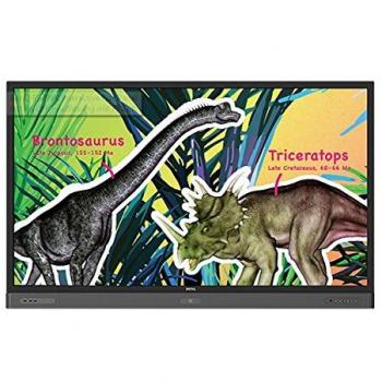 Benq RP704K Panel Interactivo 70 LED 4K Ultra HD Negro
