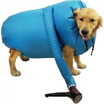 Secador de pelo automático para mascotas