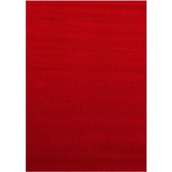 Tapis Antidérapant Doux Lars Rouge 120x170