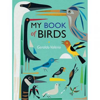 My Book of Birds: A beautifully illustrated compendium of birds by Geraldo Valer