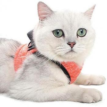 Dotoner Veste de Marche pour Chat