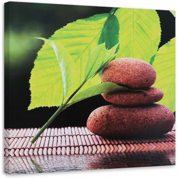 Hojas Zen Spa: Pintura de Paz Verde