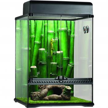 Habitat Terrarium Forêt de Bambous Exo Terra L