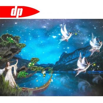 Rhinestone Princess Diamond Art 20X30CM