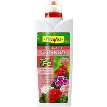Graniums
