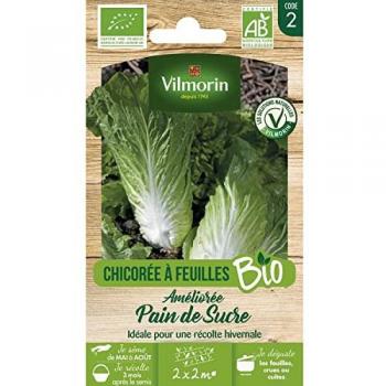 Vilmorin Scarole Pain De Sucre Bio