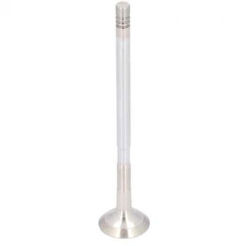 FEBI BILSTEIN 186237 Drenagem Válvula