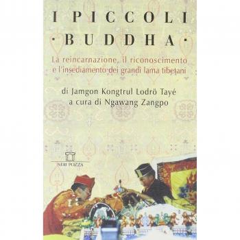 I piccoli Buddha. Il riconoscimento dei maestri reincarnati del Tibet e dell'Himalaya