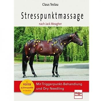 Stresspunktmassage nach Jack Meagher
