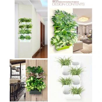 Root Growing Wall Planter Box